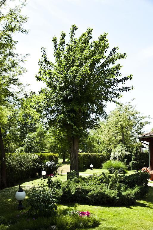 Vila Dincic Doo Veliko Gradiste Exterior photo
